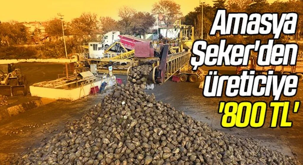 Amasya Şeker'den üreticiye '800 TL'