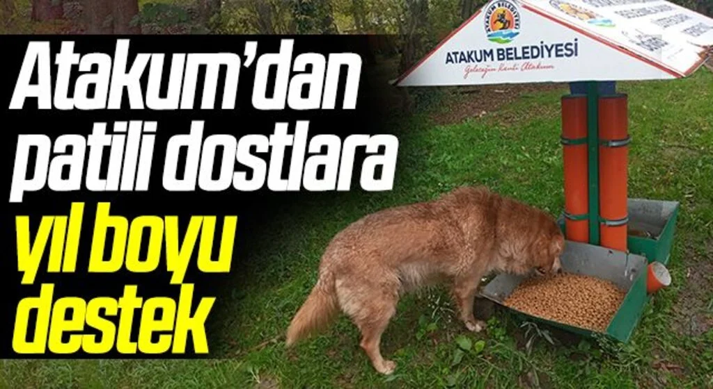 Atakum Belediyesi’nden patili dostlara yıl boyunca destek