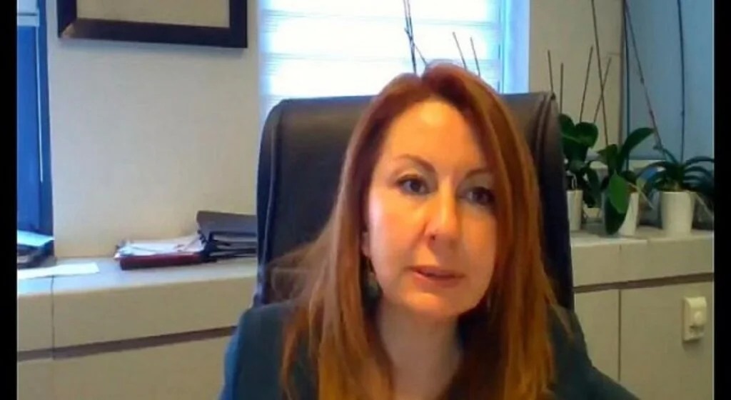 “Avrupa Yeşil Mutabakatı ve İnşaat Sektörüne Olası Etkileri” webinarı yapıldı