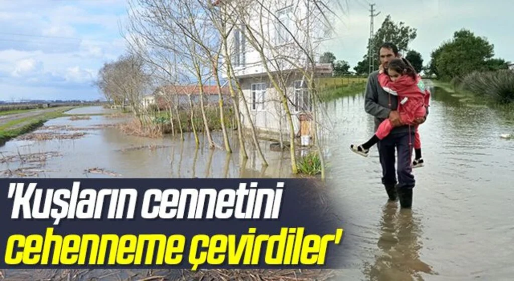 Bafra Ovası'nda kanal taştı, tarım arazileri ve ahırlar sular altında kaldı