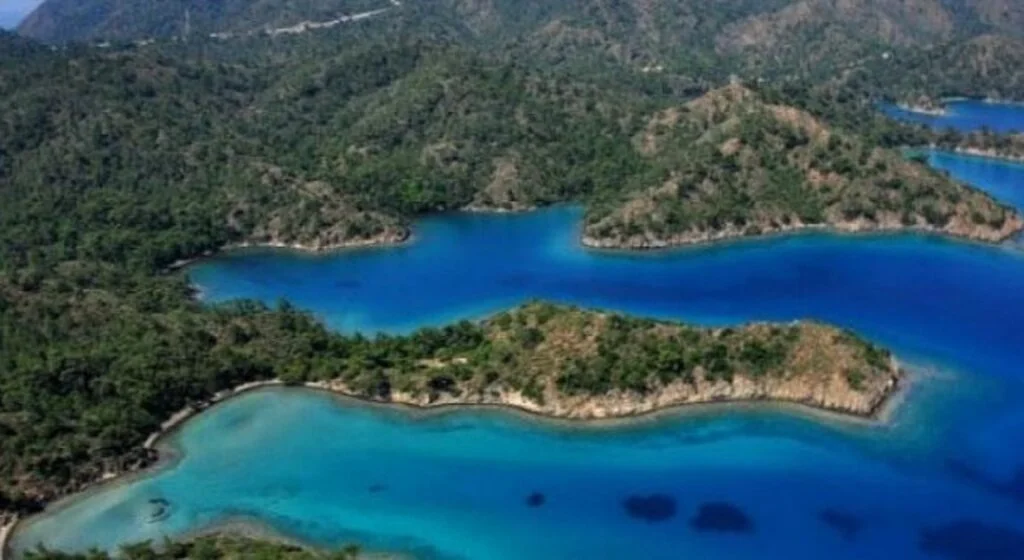 Büyükşehir Dava Açtı Alavara Koyu Kurtuldu.