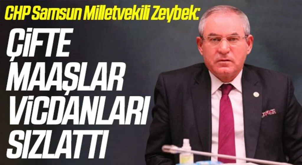 CHP Samsun Milletvekili Zeybek: Çifte maaşlar vicdanları sızlattı