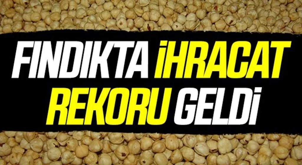 Fındıkta ihracat rekoru geldi