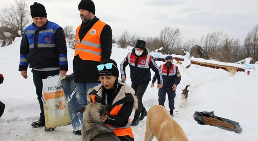 İlkadım'da can dostlar unutulmadı