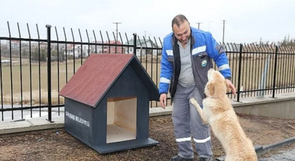 Öğrenciler İstedi Gölbaşı Belediyesi Patileri Yuvalarına Kavuşturdu