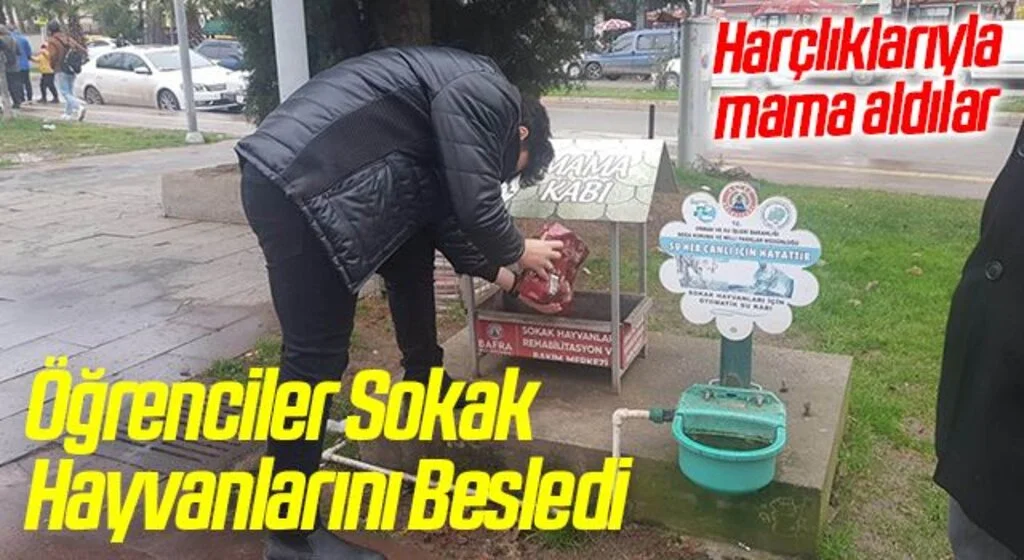 Öğrenciler sokak hayvanlarını besledi