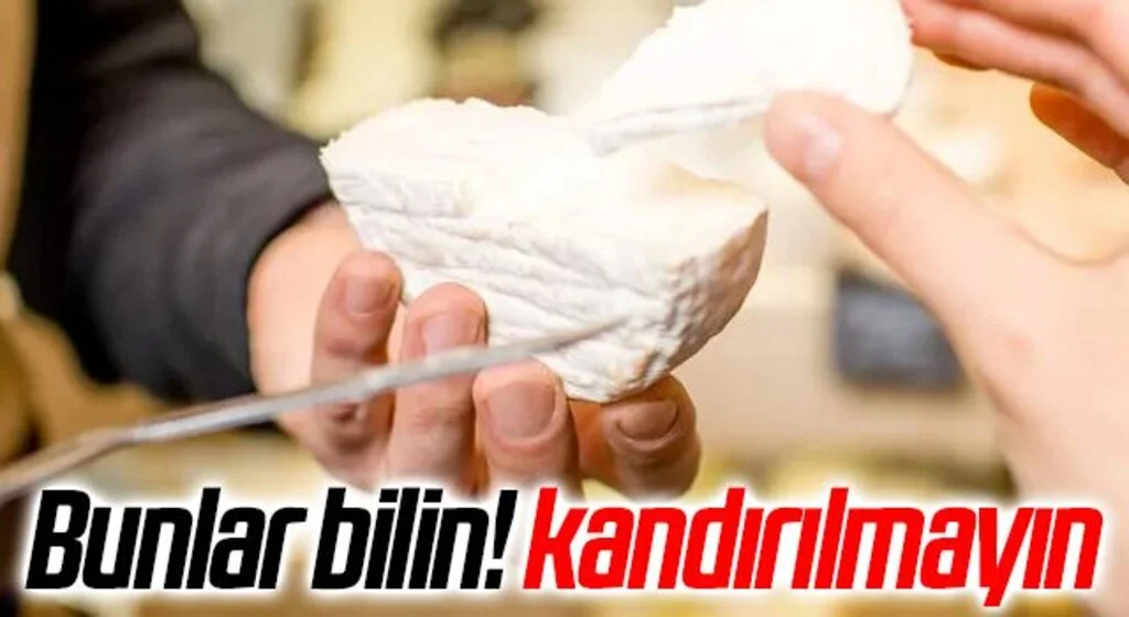Peynir alırken bunlara mutlaka dikkat edin! Yapılan hileler pes dedirtiyor