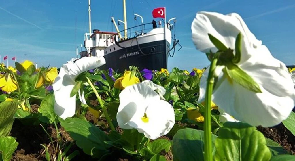 Samsun’da 1500 ağaç ve 53 bin bitki toprakla buluşacak