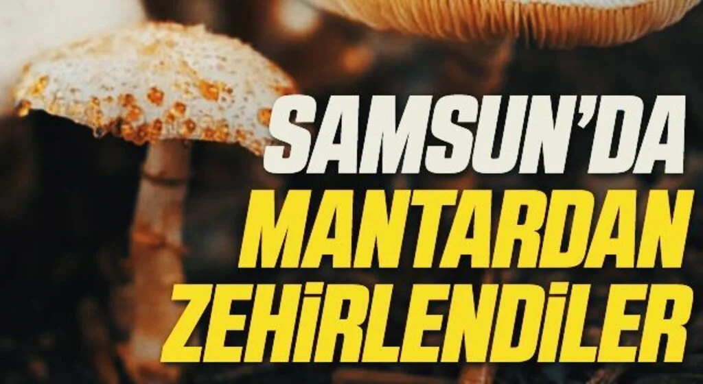 Samsun'da 3 kişi yedikleri mantardan zehirlendi