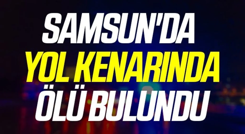 Samsun'da bir kişi yol kenarında ölü bulundu
