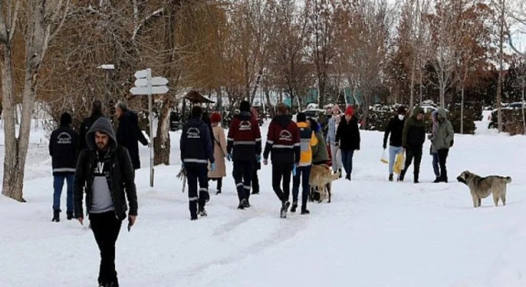 Van Büyükşehir Belediyesi Sokak Köpeklerini ’Mikroçip’ İle Kayıt Altına Alıyor