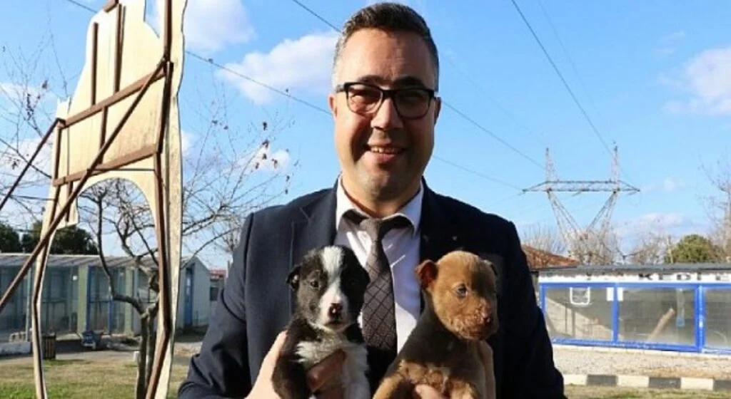 Yasaklı Irk Köpeklerin Sayısı 240’a Ulaştı