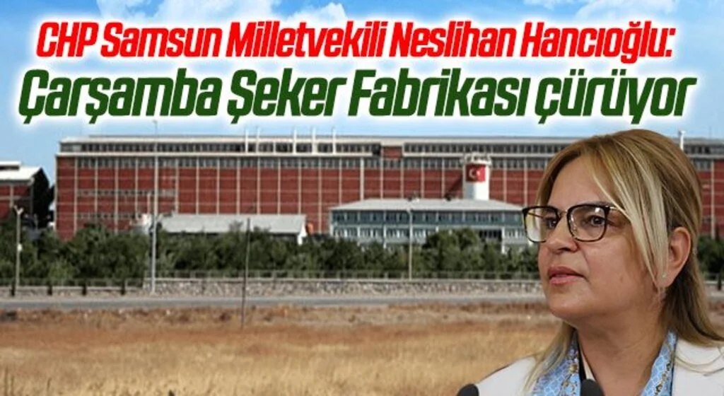 CHP Samsun Milletvekili Neslihan Hancıoğlu: Çarşamba Şeker Fabrikası çürüyor