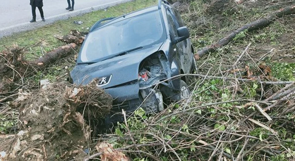 Hatalı sollama yapıp yoldan çıkardı 