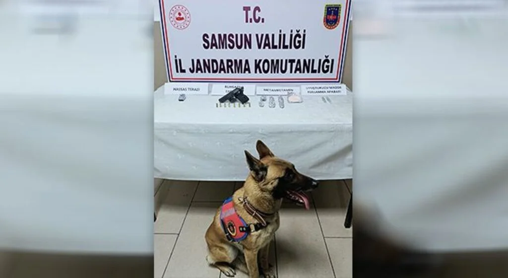 İstanbul'dan uyuşturucu getirirken yakalanan 2 kişi tutuklandı