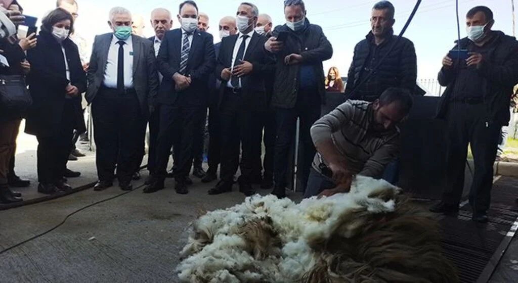 Küçükbaş hayvanlar için kırkım makinesi ve püskürtmeli banyoluk dağıtıldı