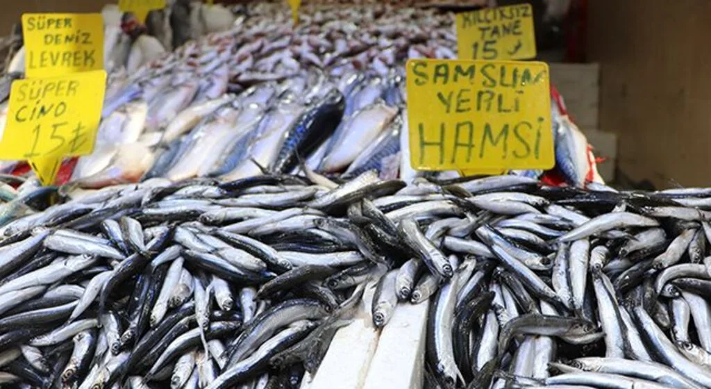 Kulağına kar suyu kaçan hamsiye vatandaştan yoğun talep