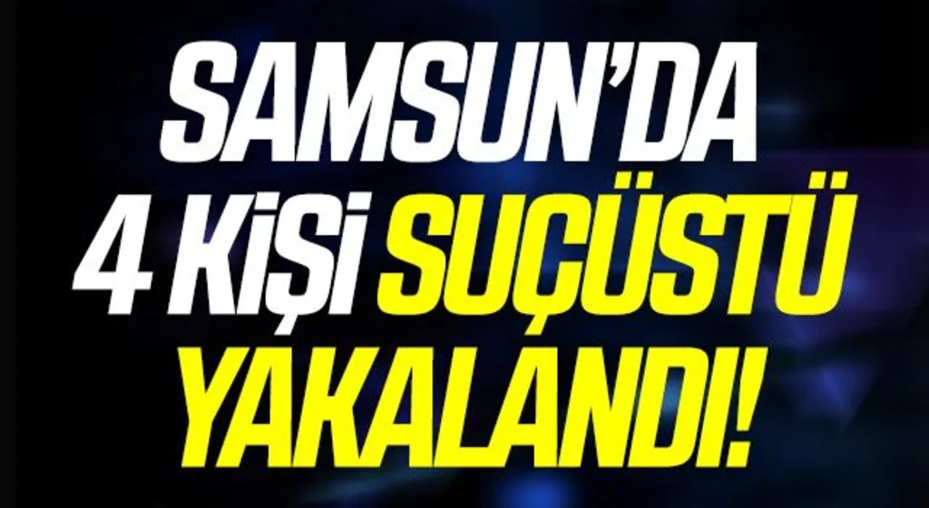 Samsun'da 4 kişi kaçak kazı yaparken yakalandı