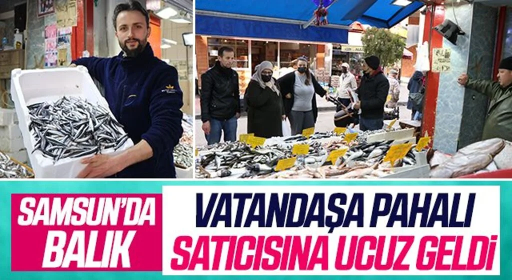 Samsun'da Balık vatandaşa pahalı satıcısına ucuz geldi