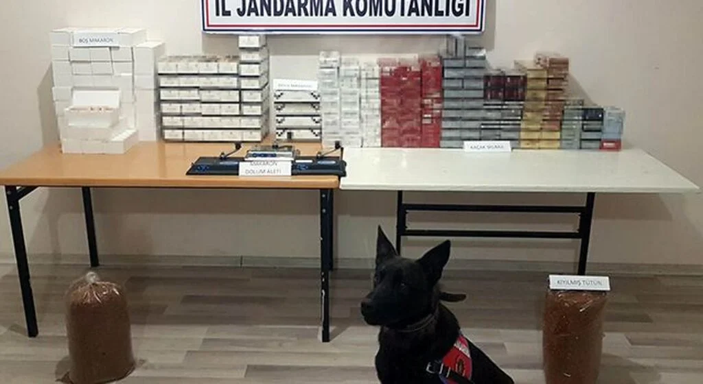 Samsun'da bin 187 paket sigara ve 16 bin dal makaron ele geçirildi