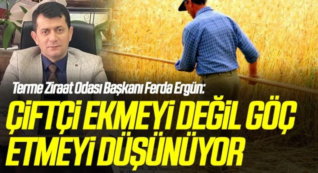 Terme Ziraat Odası Başkanı Ferda Ergün: Çiftçi Ekmeyi Değil Göç Etmeyi Düşünüyor