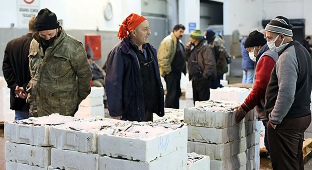 Türkiye'nin farklı illerinden balıkçılar Samsun'daki mezatta buluşuyor