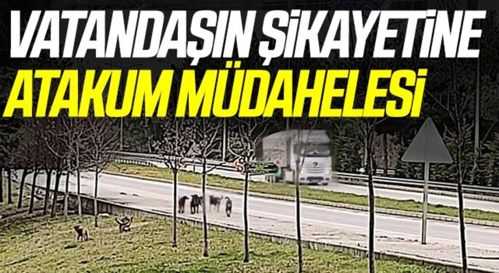 Vatandaşın şikayetine Atakum müdahelesi