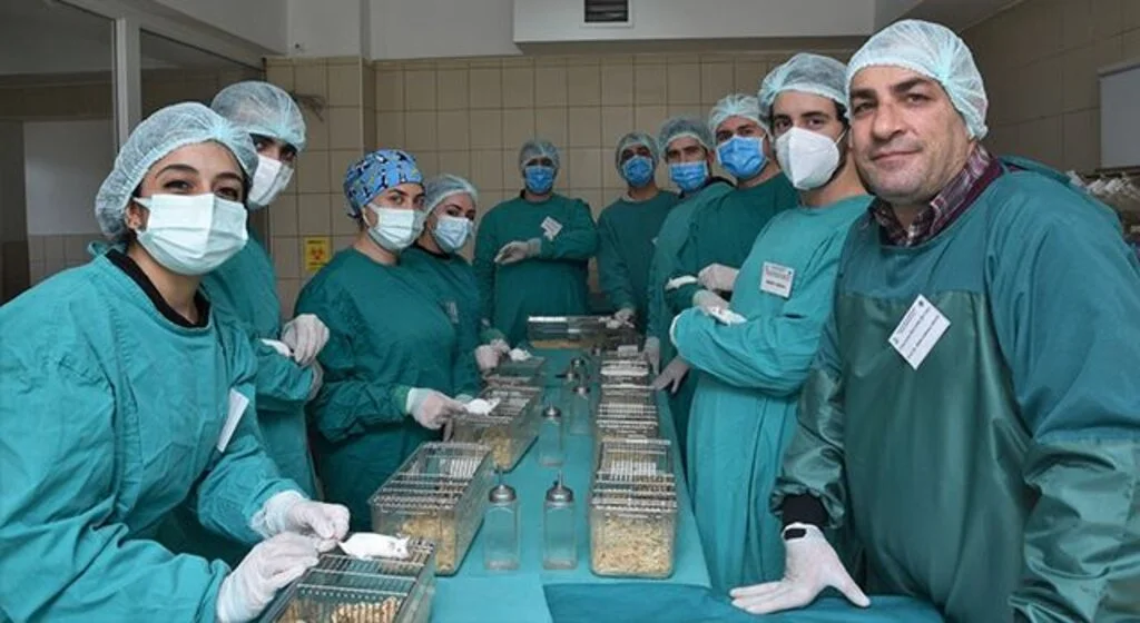 12 farklı şehirden ve 13 üniversiteden 130 katılımcıya deney hayvanı eğitimi