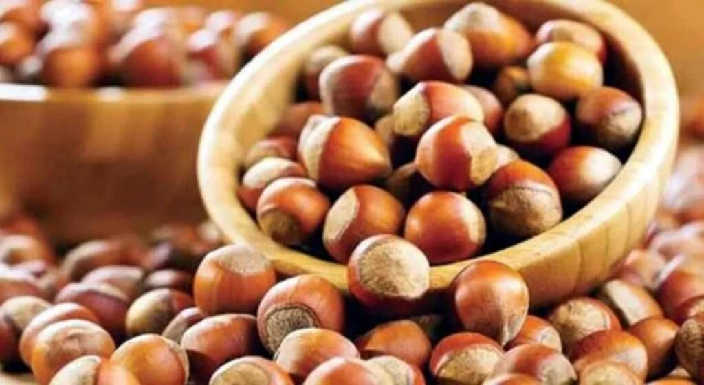 2022 tahmini fındık rekoltesi 790 bin ton 