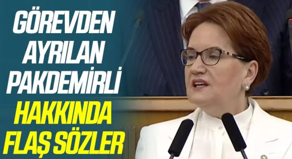 Akşener'den, bakanlık görevinden ayrılan Pakdemirli hakkında açıklama