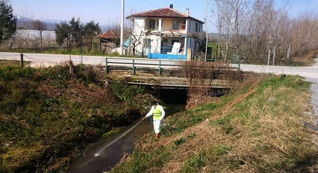 Bafra Belediyesi’nden sivrisineklere karşı larva mücadelesi