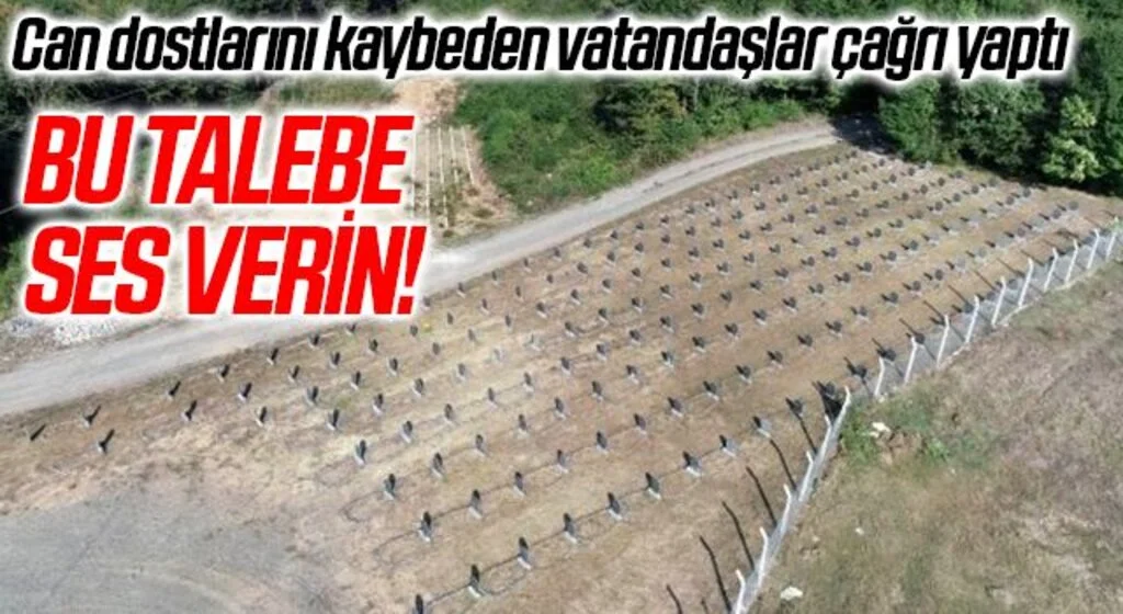 Can dostlarını kaybeden vatandaşlar çağrı yaptı! Bu talebe ses verin !