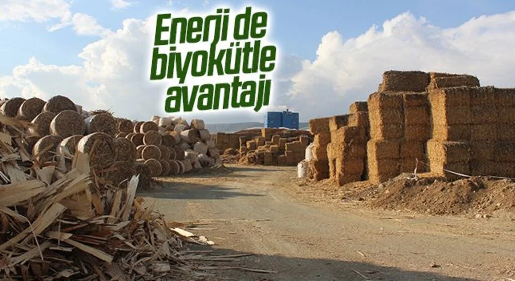 Enerji de biyokütle avantajı