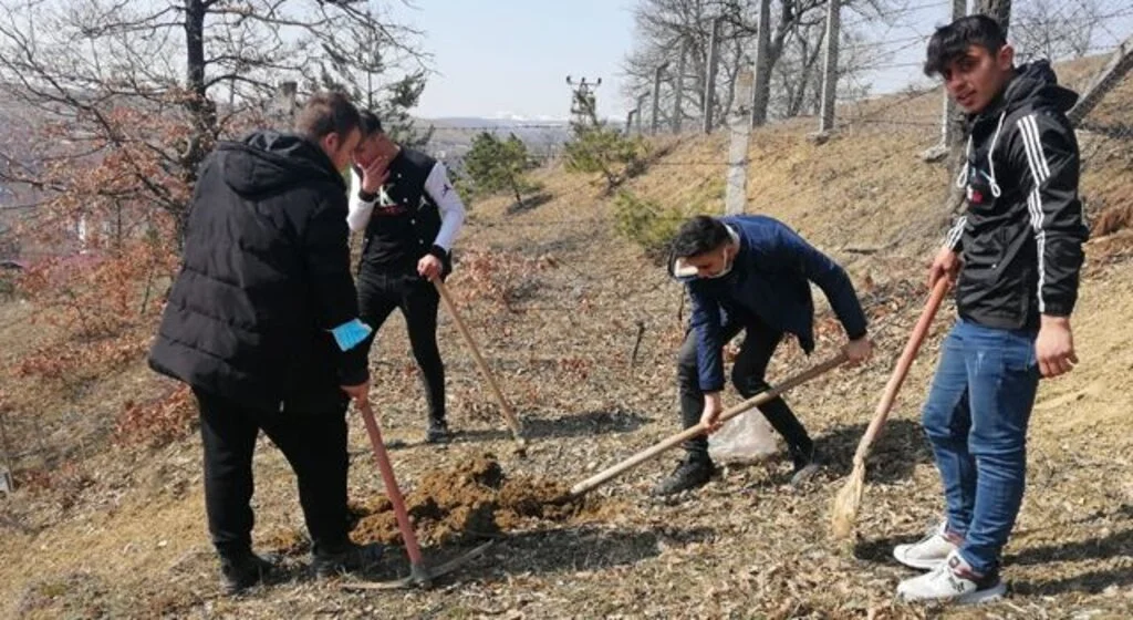 Havza MTAL öğrencileri  fidan dikti