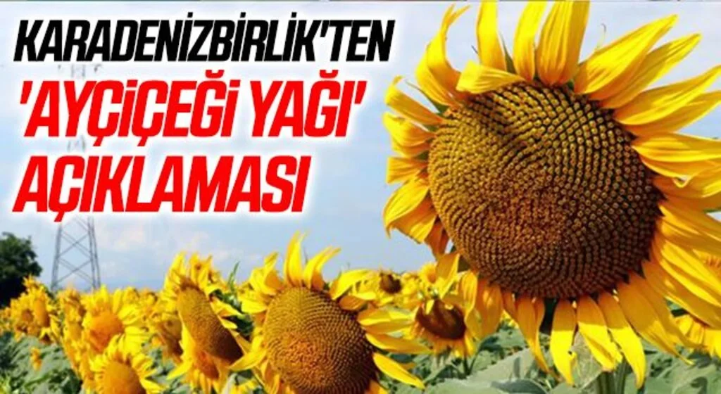 KARADENİZBİRLİK'ten 'ayçiçeği yağı' açıklaması
