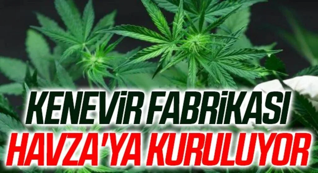 Kenevir Fabrikası Havza'ya Kuruluyor