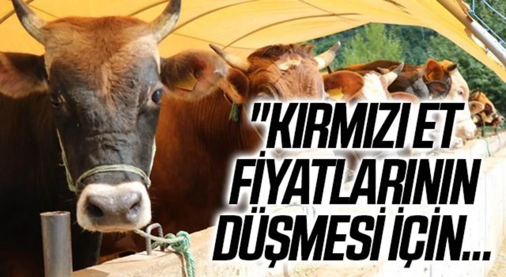 "Kırmızı et fiyatlarının düşmesi için dişi malların kesilmemesi ve girdi maliyetlerinin düşürülmesi gerekir"