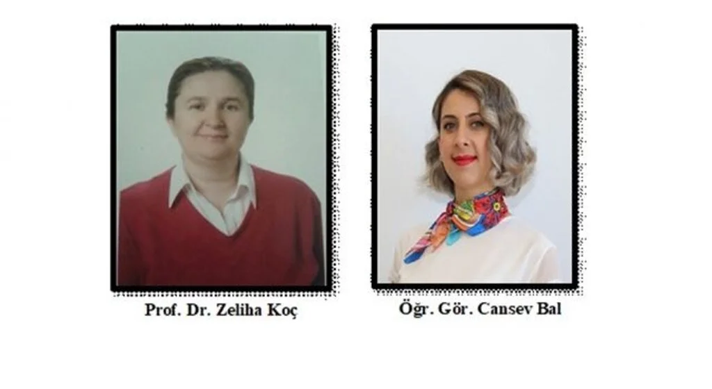 OMÜ'lü akademisyenlerin çalışmaları tescillendi 