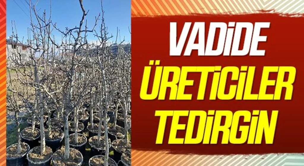 Samsun Kürtün Vadisinde üreticiler tedirgin
