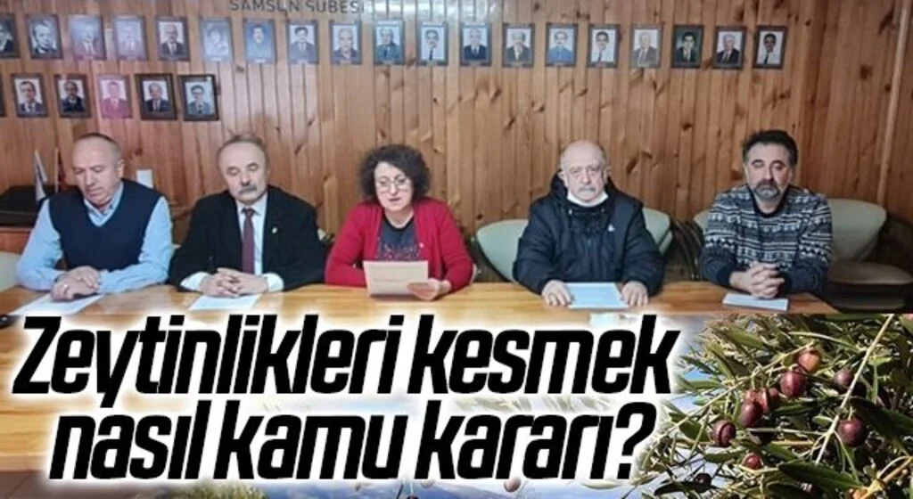 Samsun Sivil Toplum Kuruluşları; Zeytinlikleri kesmek nasıl kamu kararı?