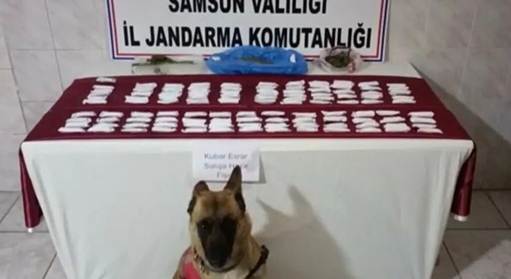 Samsun'da 120 paket satışa hazır uyuşturucu ele geçirildi
