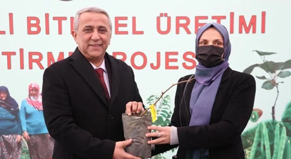 Samsun’da kivi üretiminde hedef 4 yılda 1. sıraya yerleşmek