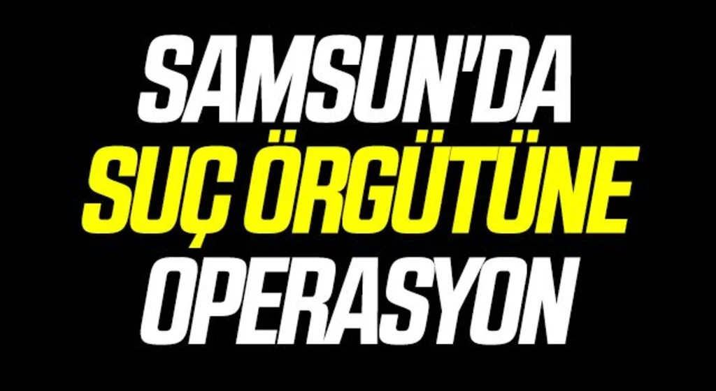 Samsun'da suç örgütüne operasyon: 6 gözaltı