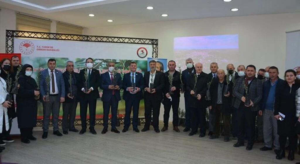 Samsun'un 19 Mayıs ilçesinde Çiftçiye zeytin fidanı dağıtıldı