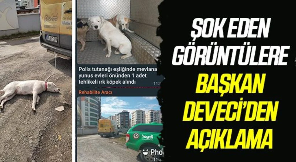 Şok Eden Görüntülerin Ardından Başkan Cemil Deveci'den Açıklama