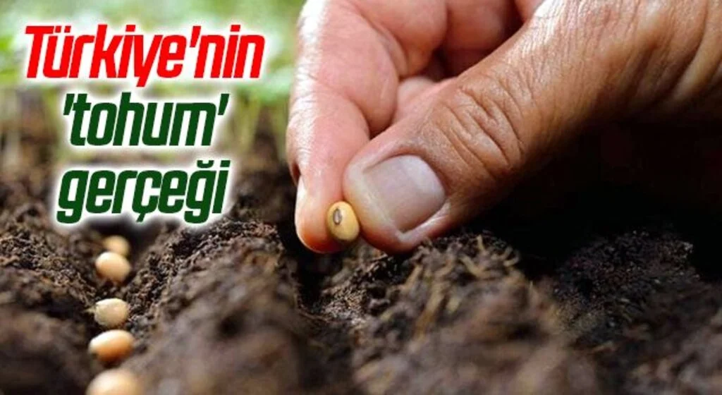 Türkiye'nin 'tohum' gerçeği