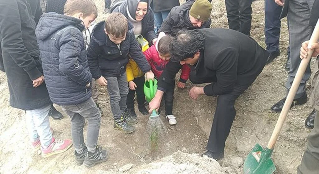 Vezirköprü'de 36 bin 950 fidan toprak ile buluşacak