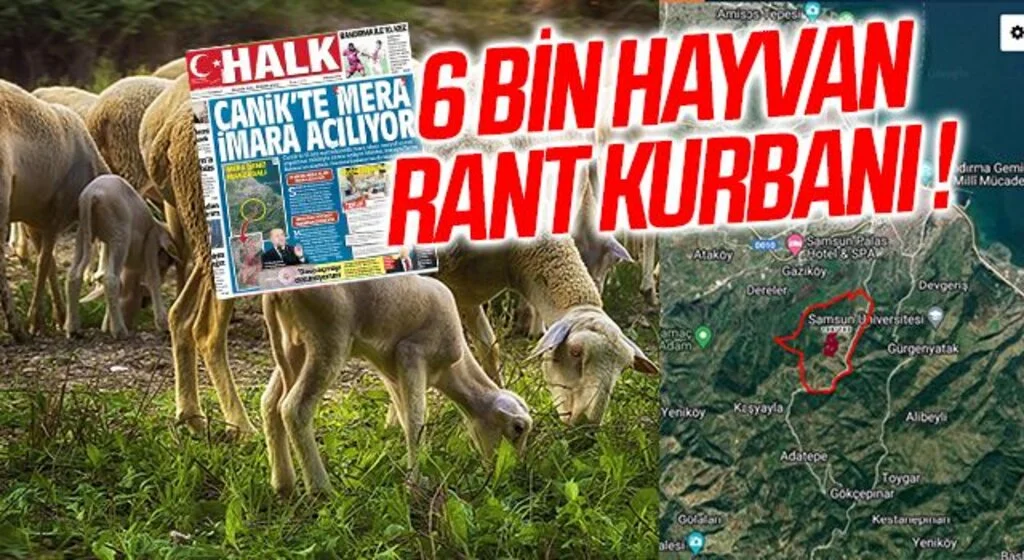 6 Bin Hayvan Rant Kurbanı