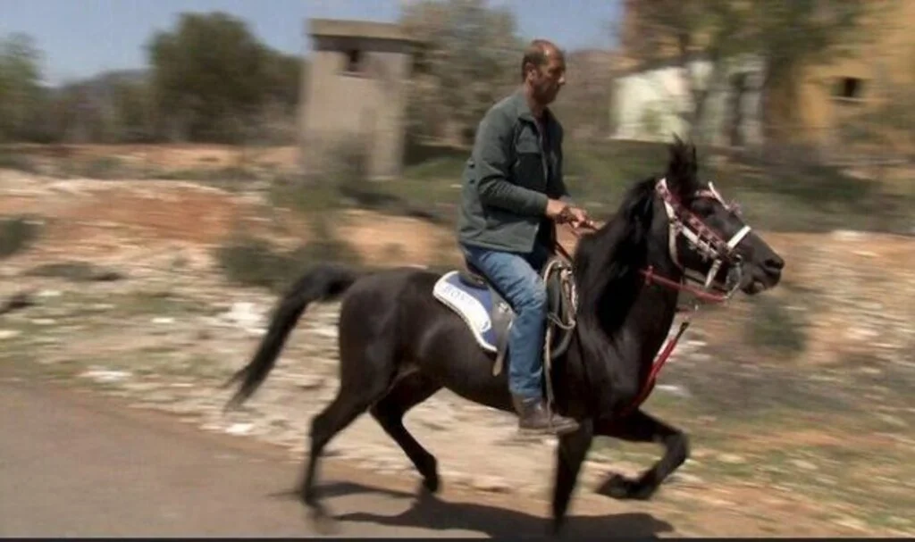 Akaryakıt fiyatlarını bahane etti... Markete bile atıyla gidiyor