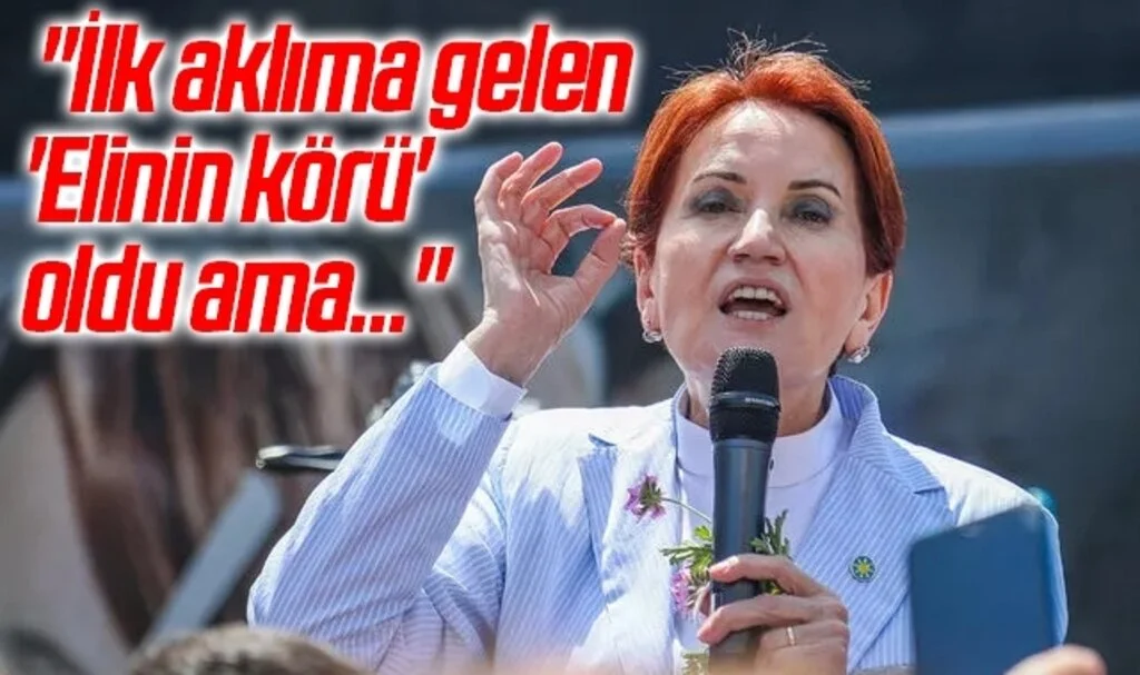 Akşener'den dikkat çeken Erdoğan-Kılıçdaroğlu açıklaması! "İlk aklıma gelen 'Elinin körü' oldu ama..."